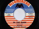 Psych 45 - Divinity Of Pure Sound - In The Dark - All-American - mp3