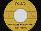 R&B/Deep Soul 45 - Ruby Johnson - What Goes Up Must Come Down - Neb's - mp3