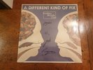 Bombay Bicycle Club - A Different Kind Of Fix - Sealed LP Album signed vinyl