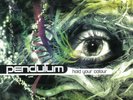 Pendulum - HOLD YOUR COLOUR - 3 LP Box Vinyl NEW & SEALED Set