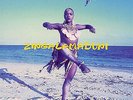 Arrested Development - Zingalamaduni / VG / 2xLP, Album