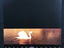 VAN MORRISON Avalon Sunset POLYDOR 1989 Lyric Inner UK 1st A-1U/B-1U VINYL LP NM