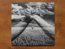 Lost For Words - Pink Floyd 7