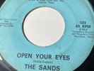 RARE The Sands Cant Find A Way Open Your Eyes CAPRI Crazy Cajun TEXAS GARAGE G+