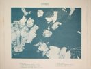 Rolling Stones European Tour 1970 Live 2 LP  not TMOQ