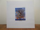 TALK TALK - SPIRIT OF EDEN - 12