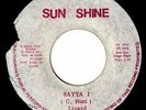 LIZARD-satta i    sun shine  7