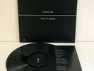 LUNGFISH indivisible LP Vinyl Record with lyrics insert , dischord records