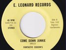 FANTASTIC COUSIN'S Come Down Junkie *RARE* funk 45 M- sweet soul Why O Why HEAR
