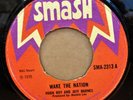 HUGH ROY WAKE THE NATION / ONE THOUSAND TONS OG UK SMASH 7
