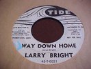 Larry Bright Way Down Home & Bloodhound original white label 45 ex condition