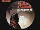 OZZY OSBOURNE - BLIZZARD OF OZZ (PICTURE DISC) NEW VINYL