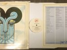 The Chameleons - What Does Anything Mean? Basically LP - FULLY Signed - Vg+/Vg+