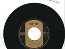 STEFANIE WERGER - Steppenwolf     ***Promo***