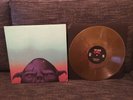Orc by Thee Oh Sees Gilded Axe Wax Castle Face Ty Segal White Fence