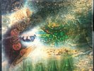 Pink Floyd ? A Saucerful Of Secrets Vinyl 12