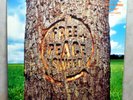Dodgy - Free Peace Sweet - 1996 Original UK Vinyl First Pressing - NM