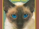 blink-182 - Cheshire Cat - Debut Studio Album - 12