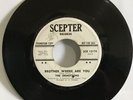 Northern Soul-The Demotrons-Brother Where Are You/Take This Love I Have-Scepter