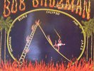 Bob Brozman - Devil's Slide (LP, Album)