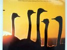 Milt Jackson - Sunflower (LP, Album, Gat)