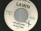 DOOWOP GARAGE ROCK- DIAL TONES- w/ LINK WRAY- CHICAGO BIRD- HEAR - 1963 DJ LAWN