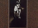 The Suicide Twins - Silver Missiles And Nightingales (LP, Album)