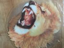 WHITE LION - RADAR LOVE - 1989 UK RELEASE - RARE VINYL 10