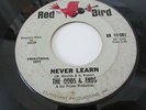 THE ODDS & ENDS GARAGE PSYCH 45 ON RED BIRD LABEL NEVER LEARN / HEY LITTLE GIRL
