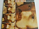 VAN MORRISON * MOONDANCE * 1970 Gatefold Vinyl Album LP Canadian Import WS1835