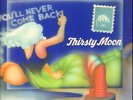 Thirsty Moon - You´ll Never Come Back - LP von 1973 - green Brain