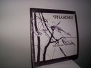 PHAROAH SANDERS - PHAROAH - INDIA NAVIGATION ORIGINAL FROM 1977- IN 1027 - RARE