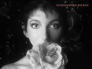 Kate Bush - The Sensual World REMASTERED vinyl LP NEW/SEALED