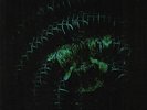 COSMIC GROUND - 5 - Vinyl (coloured vinyl LP limited to 300 copies)