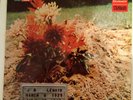 J.B. LENOIR - J.B. Lenoir, Vinyl LP Album (1970) 2482 014 BLUES / CHICAGO BLUES