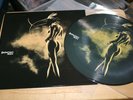 Depeche Mode - Walking In My Shoes - Rare Ltd Edition Fan Club USA Picture Disc