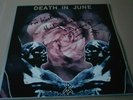 Death In June ?– Rose Clouds Of Holocaust-lp-pink vinyl -signe-