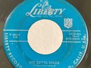 Rockabilly 45 Al Casey She Gotta Shake on Liberty HEAR
