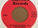 80s soul boogie 45 HENRY THOMAS & RISE My Dreams are Clouded  RAPTOWN listen