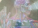 TOOL**LATERALUS**PROMO PICTURE / PIC**DISC 12