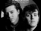 TEARS FOR FEARS *SONGS FROM THE BIG CHAIR* LIMITED EDITION PICTURE DISC VINYL LP