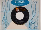 EASTMEN BLUES BAND: Found A New World CUCA Wisconsin Garage Soul 45 HEAR