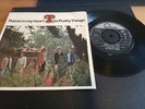 PRETTY THINGS - RAININ' IN MY HEART - FONTANA TE 17442 - 1965 - EXC