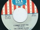 Garage Psych - Cherry Slush USA 895 I cannot stop you / Don't walk away ? 1968