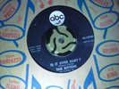 THE KITTENS  IS IT OVER BABY  ABC 10783   Rare Northern Soul