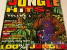 Jungle Hits Volume 1 Double Vinyl - Rare - General Levy UK Apachi Shy FX