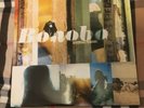 Bonobo - Animal Magic Vinyl (Brilliant Condition)