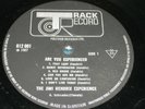 The Jimi Hendrix Experience ?– Are You Experienced LP (Record only no cover)