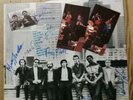 Vinyl 12