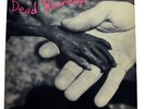 DEAD KENNEDYS PLASTIC SURGERY DISASTERS LP STATIK NEW ROSE 19 PUNK